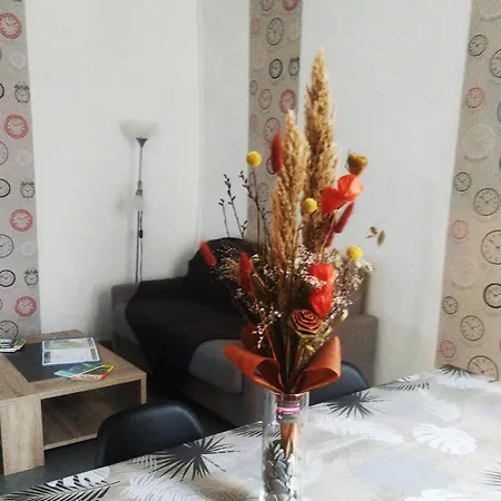 Apartament L'appart Millau